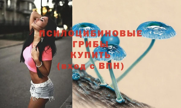 ешки Балахна