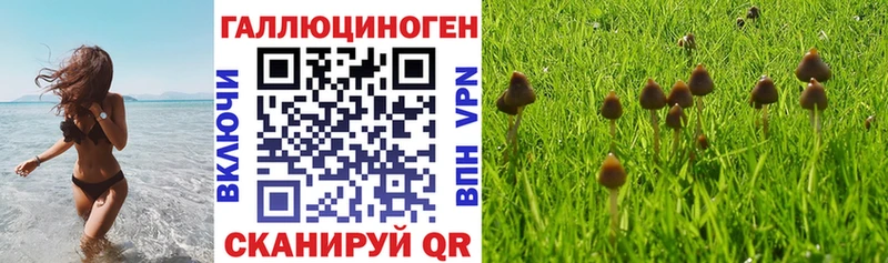Галлюциногенные грибы GOLDEN TEACHER Харабали