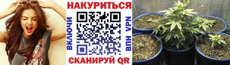 Каннабис Amnesia  Харабали 